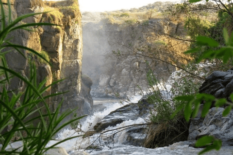 Addis Ababa: 3 Days Awash National park Safari Tour