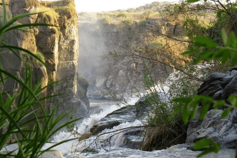Addis Ababa: 3 Days Awash National park Safari Tour