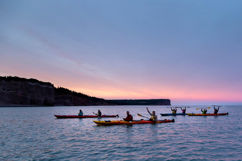 Saint John: Guided Kayaking Tour of St. Martins Sea Caves Sea Caves Half-Day Kayak Tour