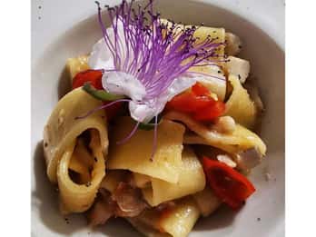 Pantelleria: clase de cocina de platos típicos en un dammuso