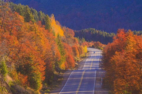 Bariloche: Circuito Grande Tour with Hotel Pickup Circuito Grande Tour in English or Portuguese