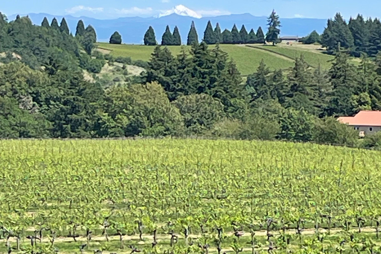 Valle de Willamette: tour de vino personalizable de día completo