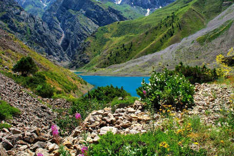 From Samarkand: Shahrisabz Day Trip via Mountain Pass Group Tour with Local English Guide