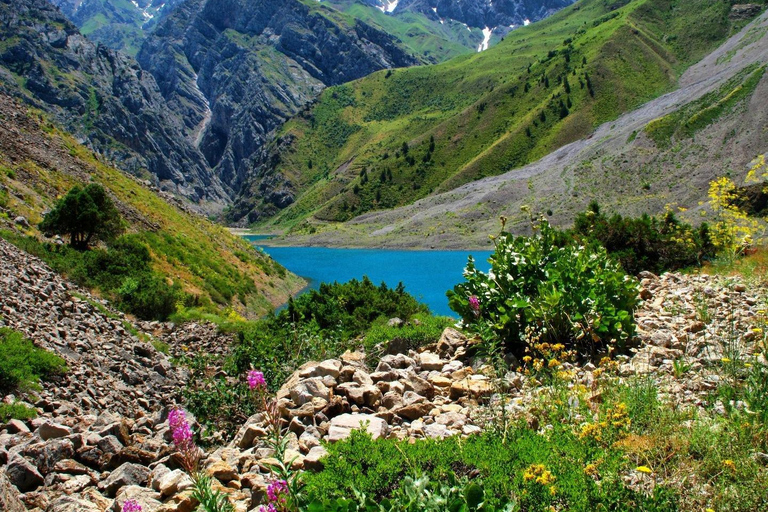 From Samarkand: Shahrisabz Day Trip via Mountain Pass Group Tour with Local English Guide