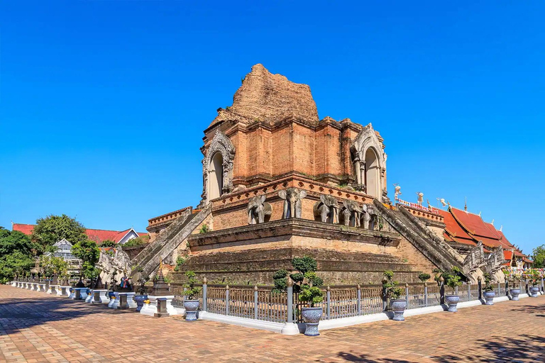 Chiang Mai: Exploración de la Ciudad Vieja en Tuk-Tuk Privado