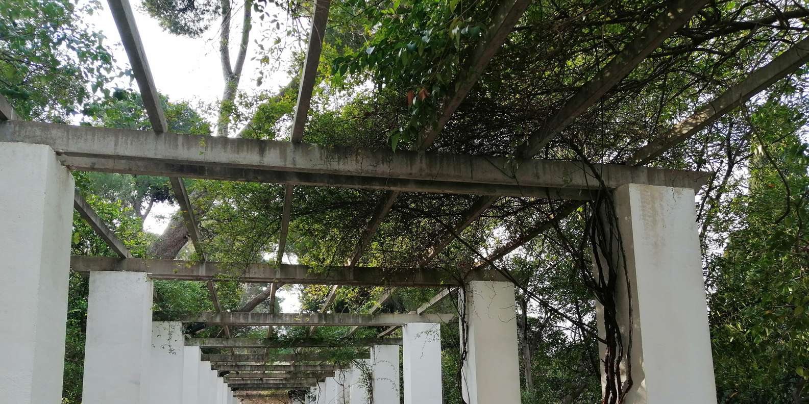 section
