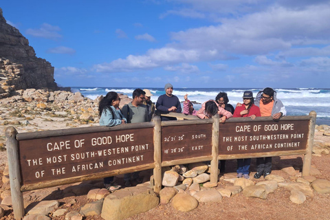 Cape Town: Table Mountain, Noordhoek, and Cape of Good hope