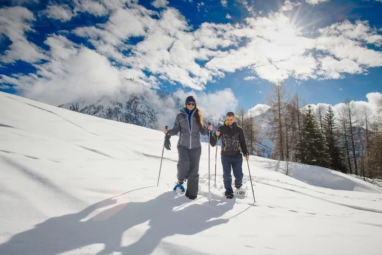 Interlaken: Snowshoe Tour with Wine & Cheese