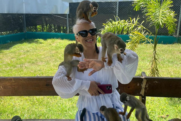 Puerto Plata: Watching Wild Primates and Botanical Hiking