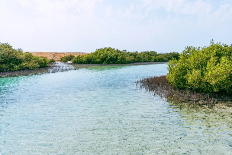 Sharm: Mangrove, Magic Lake, Earthquake Crack w/Snorkeling