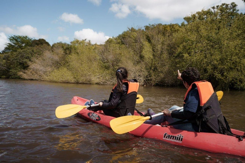 Kayaking Nature Experience - Day Trip from Colonia Kayak Experience WITHOUT transport