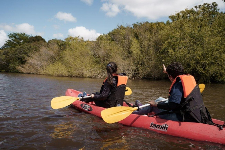 Kayaking Nature Experience - Day Trip from Colonia Kayak Experience WITHOUT transport