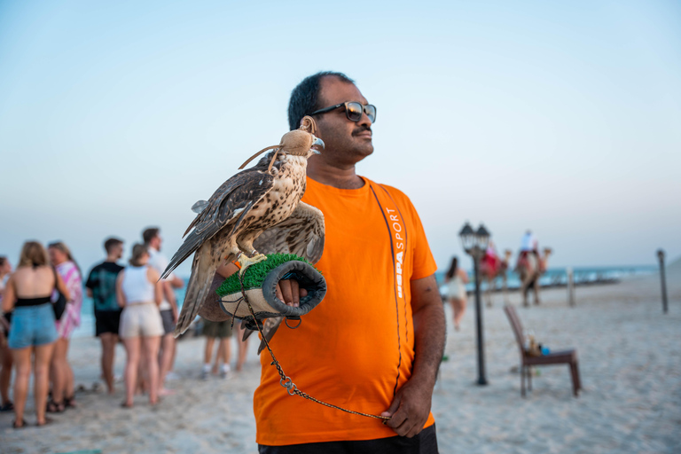 Doha: Full day Overnight & Day pass in Pvt Desert Beach Camp Doha: Full day Dune Bashing with a meal in Desert Beach Camp