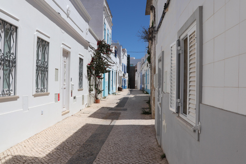 Algarve: Open Jeep Adventure, Flamingos & Ria Formosa Trip