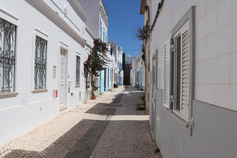 Algarve: Open Jeep Adventure, Flamingos & Ria Formosa Trip