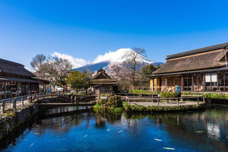 Fuji: kultur, skog och utsikt – privat skräddarsydd turFuji-kultur, skog och naturskön utsikt: Privat skräddarsydd tur