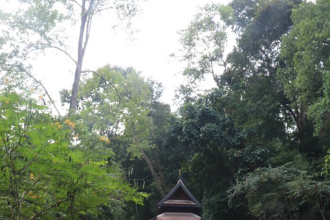 Chiang Mai Sunset Point,Wat Pha Lat,Wat Doi Suthep,Wat Umong