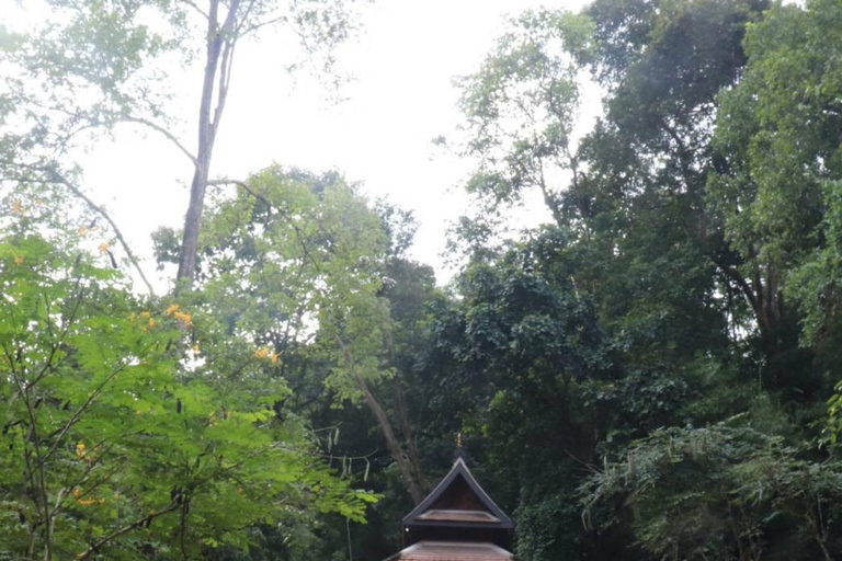 Chiang Mai Sunset Point,Wat Pha Lat,Wat Doi Suthep,Wat Umong