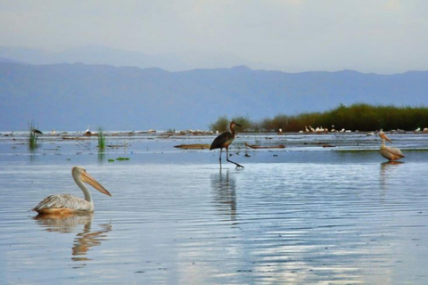 Chebera Churchura: 5-Day Wildlife & Nature Safari Experience