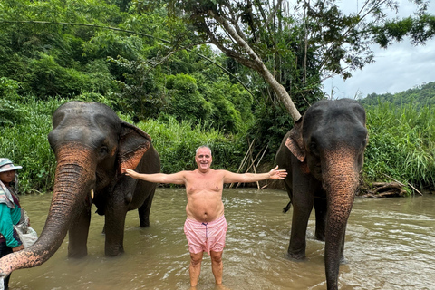 Chiang Mai : Sanctuaire des éléphants, sentier des moines et visite du Doi SuthepLieu de rendez-vous