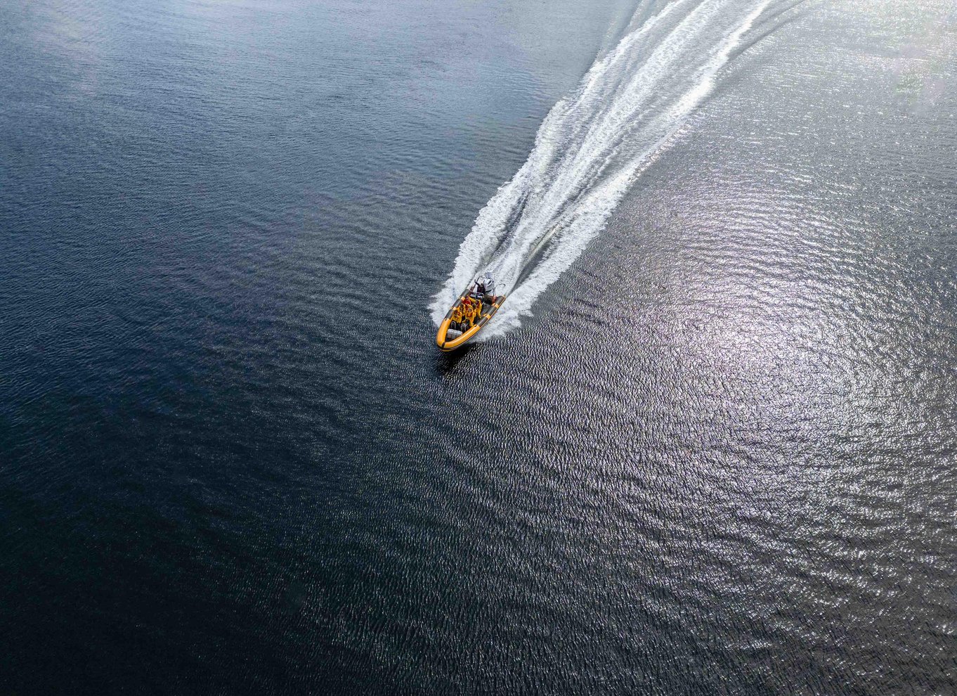 Fort William: 1 times Loch Safari Speedboat-tur
