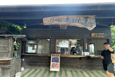 东京：富士山、Tatoo OK 温泉、清酒品尝和 Hoto 午餐