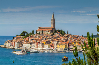 Istria: highlights and olive oil VIP tasting private tour