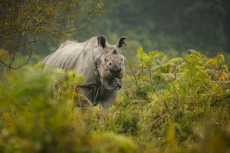 3 Days Private Tour in Chitwan