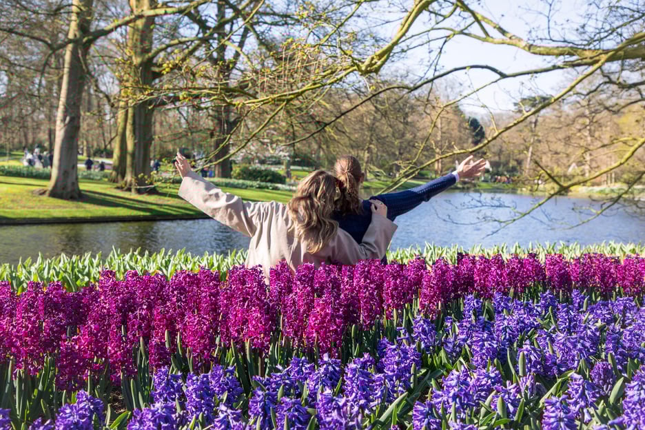 Din Amsterdam: intrare la Keukenhof cu transfer cu autobuzul