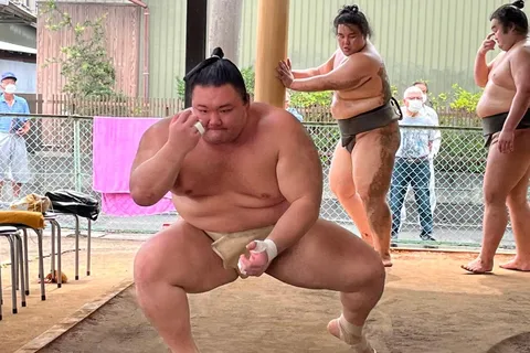 Nagoya: Visit Sumo Morning Practice with English Guide