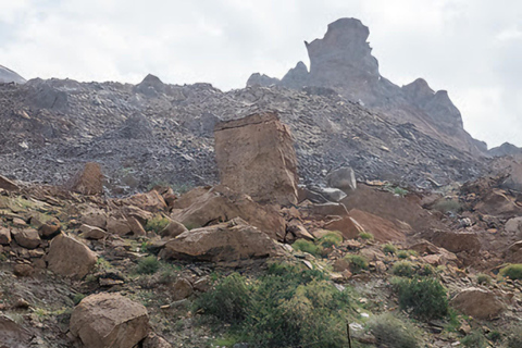 Wadi Dayqah/Wadi Al Arbaeen/Wadi Mayh (excursión de un día) 8 horas