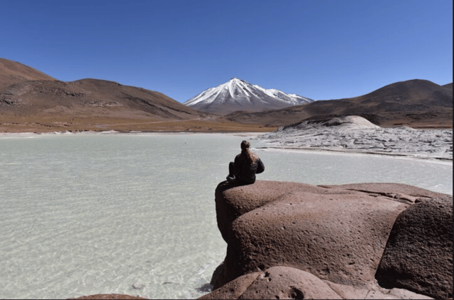 Full day Altiplanic Lagoons, Piedras Rojas and Chaxa Lagoon