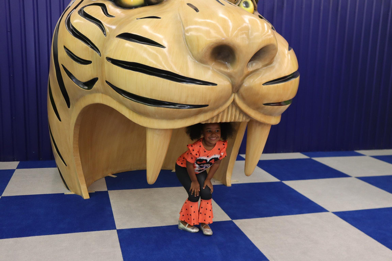 Houston: bilet wstępu do Colossal MuseumHouston: Bilet wstępu do Colossal Museum