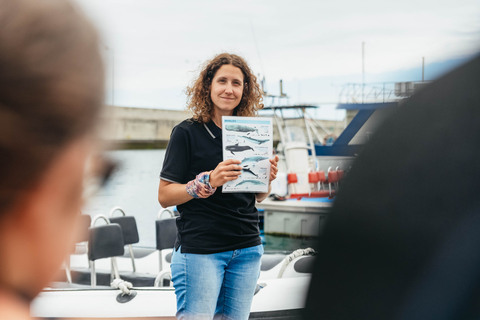 Van Funchal: dolfijnavontuurtour per speedboot