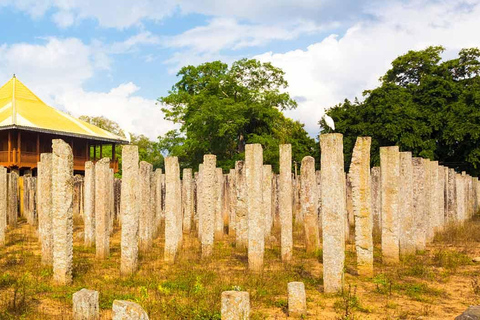 Sigiriya Dambulla Anuradhapura & Wilpattu safari 3-Day Tour Air Conditioned Van
