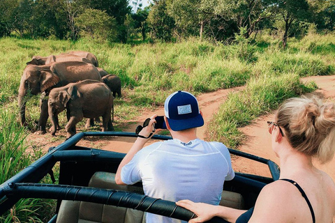Pasikuda: Polonnaruwa Ruins & Hurulu Eco Park Safari Without Ticket