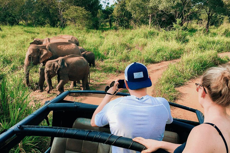 Pasikuda: Polonnaruwa Ruins & Hurulu Eco Park Safari Without Ticket