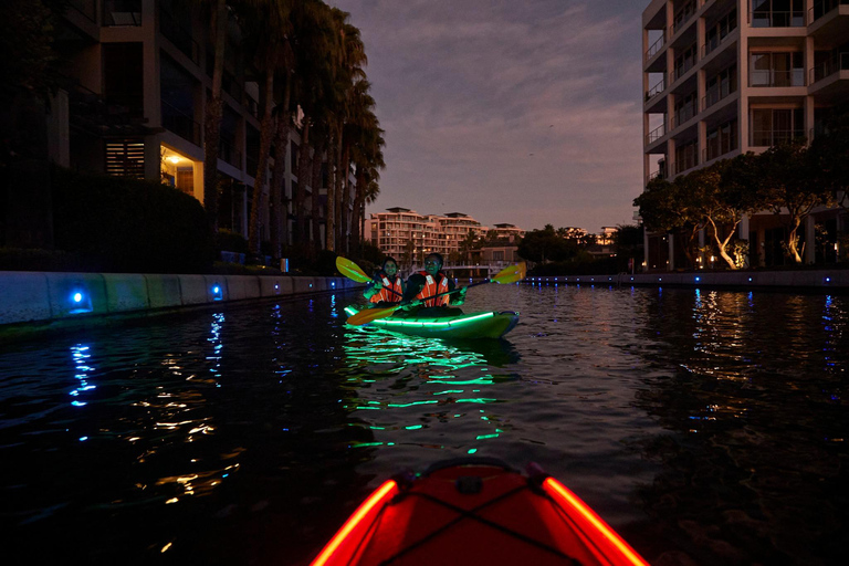 Kapstadt: Geführte Kajaktour bei Tag oder Nacht im Battery ParkNacht Kajakfahren | Battery Park