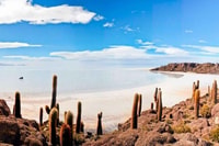 From Uyuni | Tour Uyuni Salt Flat & Train Cemetery Full day - Housity