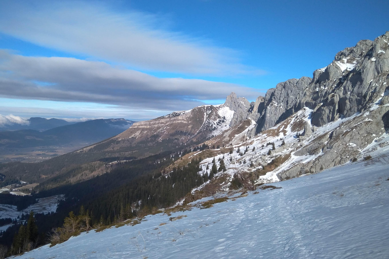 Spedizione nel Paese delle Meraviglie d&#039;Inverno, viaggio con le racchette da neve nella natura selvaggia