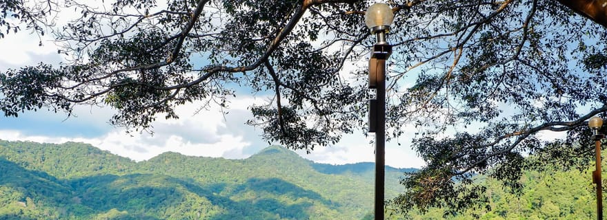 Chiang Mai : excursion d'une journée au Giant Café et au village de Mae Kampong