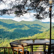 Chiang Mai: The Giant Café & Mae Kampong Village Day Trip