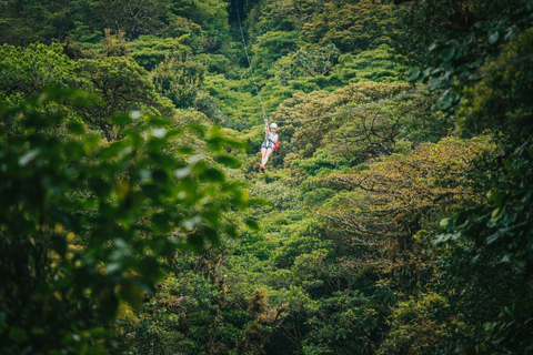 Monteverde: Aventura en el dosel del Bosque Nuboso de Monteverde