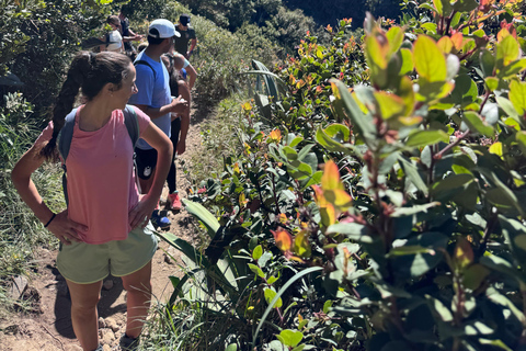 From Santa Ana City: Santa Ana Volcano HikeDa Santa Ana City: Escursione al vulcano Santa Ana
