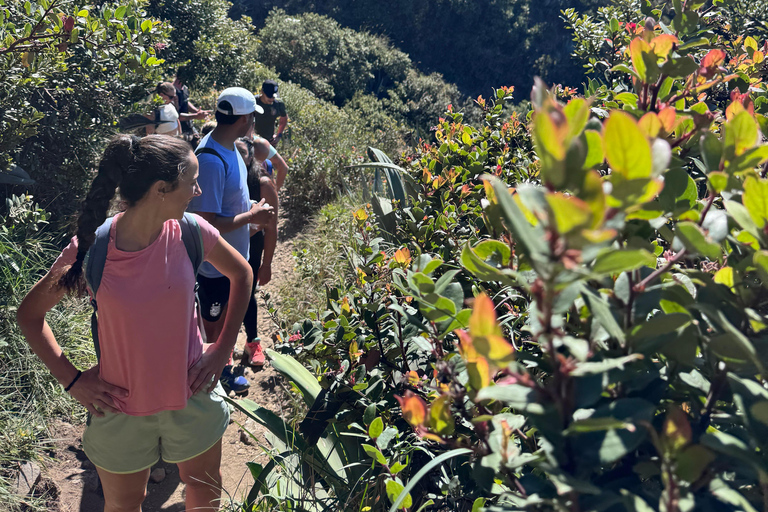 From Santa Ana City: Santa Ana Volcano HikeDa Santa Ana City: Escursione al vulcano Santa Ana