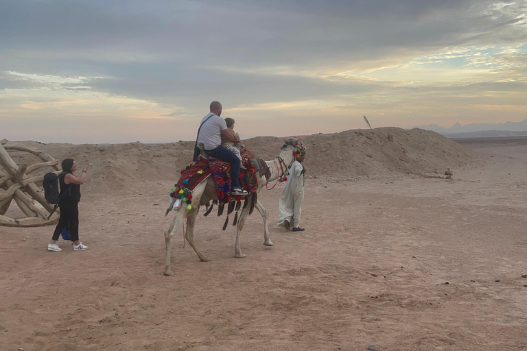 Hurghada: przejażdżka na wielbłądzie w obozie BADU, kolacja i obserwacja gwiazd