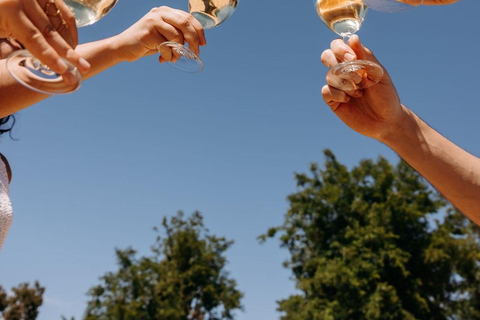 Lyon: Local Wine and Cheese Pairing Workshop with Sommelier