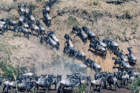Maasai Mara: 2-Day Maasai Mara Wildebeest Migration Sighting
