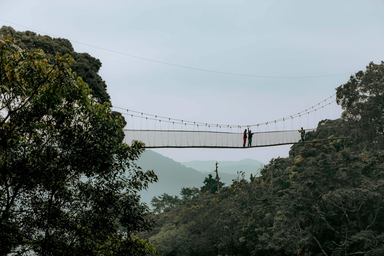 Tour de 1 día por la pasarela de copas de los árboles de Nyungwe