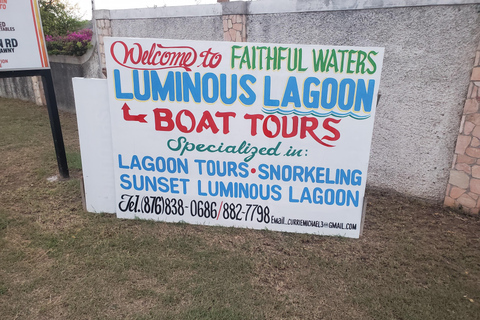 Falmouth: Luminous Lagoon Boat Tour Luminous Lagoon Boat Tour